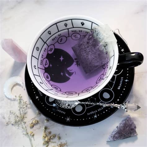 Frozen Alchemy: Discovering the Witchcraft Behind Amazingly Delicious Cup Desserts